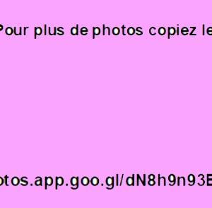 https://photos.app.goo.gl/dN8h9n93EgkDy17j6